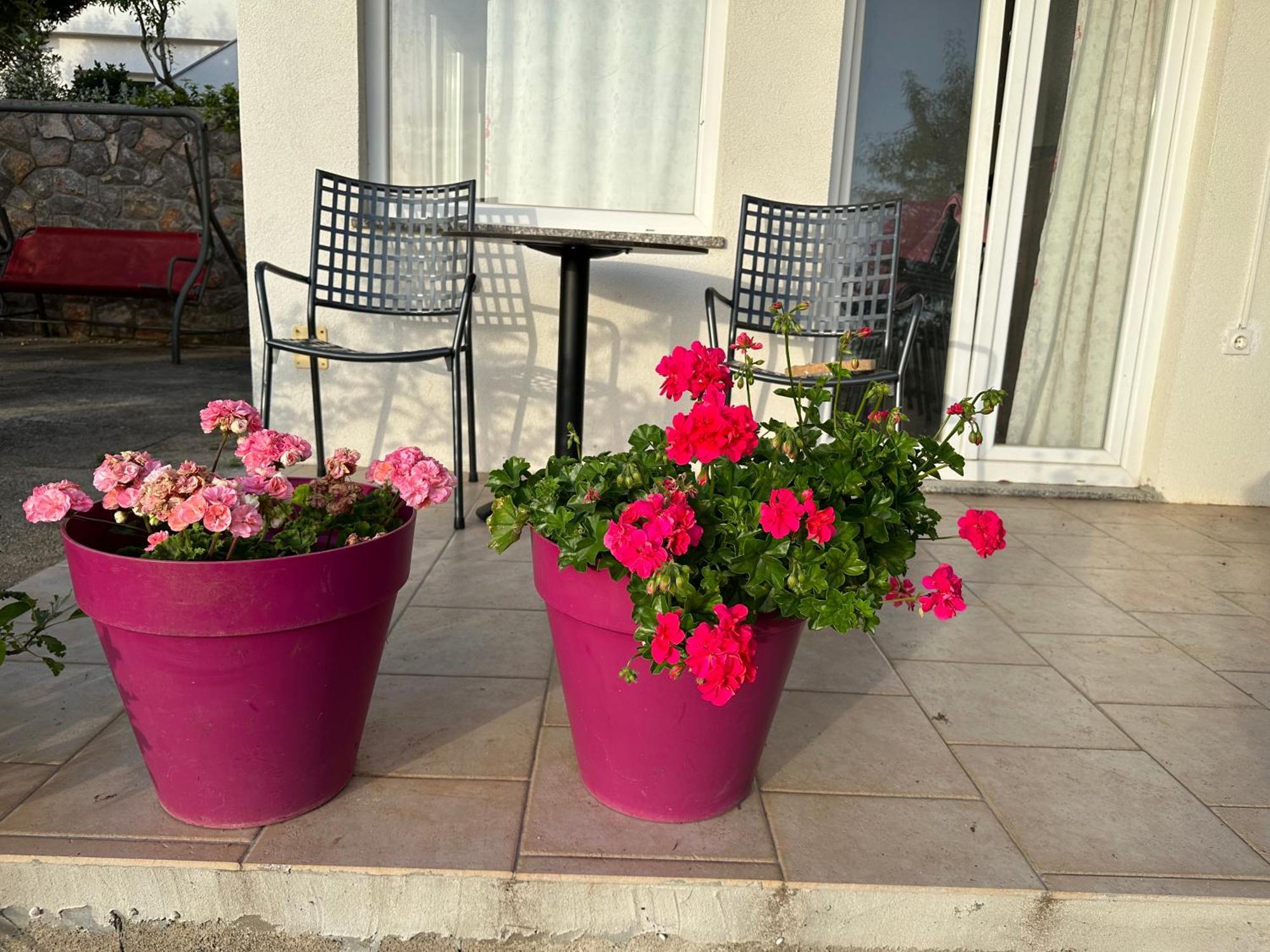 Villa Beba - Apartments Сень Екстер'єр фото